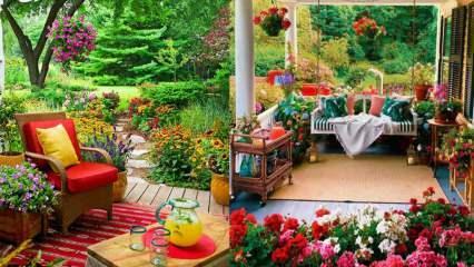 Květiny, které na podzim využijete na zahradě a balkonech!