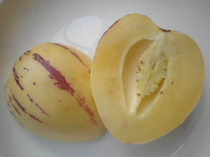 Pepino ovoce je nakrájeno na meloun jako obrázek