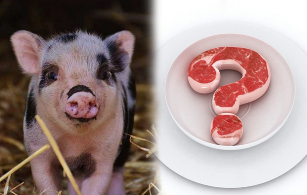 Je zakázáno jíst vepřové maso?