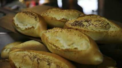 Jak se hodnotí zatuchlý chléb? Recepty vyrobené se zatuchlým chlebem