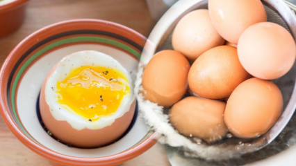 Jaké jsou výhody vajíčka s nízkým vařením? Co se stane, když budete jíst dvě vařená vejce denně?