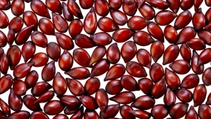 Jaké jsou výhody kdoule semena na kůži? Jak se semínko kdoule aplikuje na kůži?