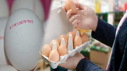 Jak se rozumí ekologické vejce? Co znamenají kódy vejce?