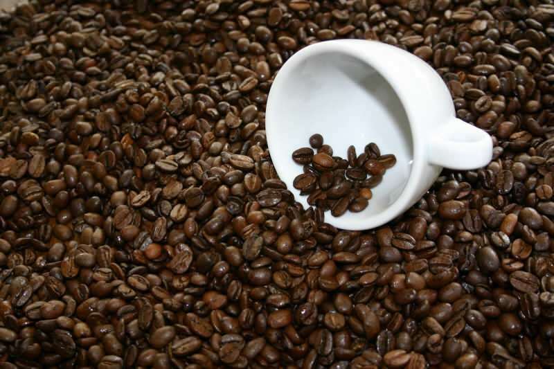 Kde koupit kvalitní kávová zrna