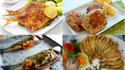Vynikající recepty z ryb