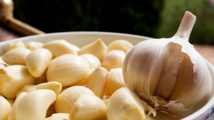 Jaké jsou výhody česneku? Co dělá česnekový prášek | Pokud spolknete jeden syrový česnek ...