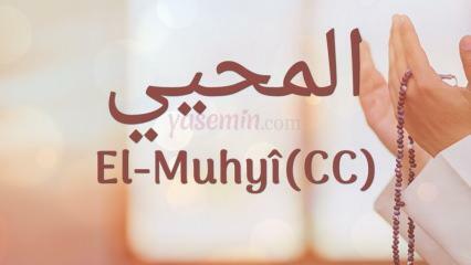 Co znamená al-muhyi (cc)? Ve kterých verších je zmíněn al-Muhyi?