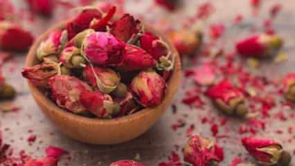 Jak sušit růži? Metody sušení růží doma