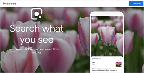 Toto je snímek obrazovky webové stránky Google Lens. V horní části webu se zobrazí bílý pruh. Vlevo je název Google Lens. Vpravo je modré tlačítko Stáhnout. V hlavní části webové stránky je fotografické pozadí, které zobrazuje květy různých růžových tulipánů. Vlevo nad obrázkem na pozadí se zobrazí bílé logo Google Lens spolu s následujícím textem: „Vyhledávejte, co vidíte“ a „Prozkoumejte, co je kolem vás, zcela novým způsobem“. Vpravo simulace chytrého telefonu zobrazuje aplikaci Google Lens identifikující tulipán. Mike Rhodes říká, že Google Lens je příkladem umělé inteligence.