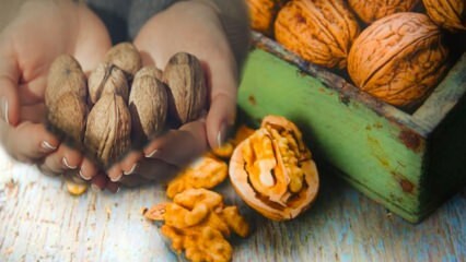 Jak se odstraní skvrna ořechu?