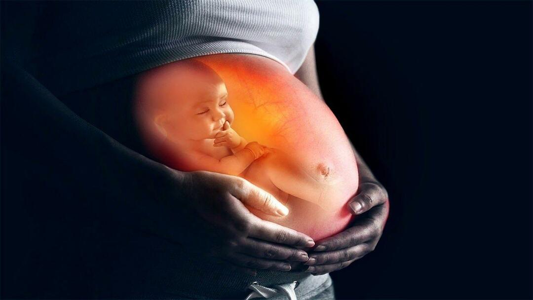 Jak krmit dítě v děloze od matky