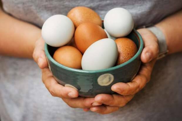 Jak se provádí analýza organických vajec?