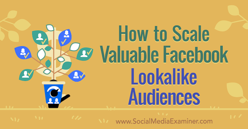 How to Scale Valuable Facebook Lookalike Audiences by Yahav Hartman on Social Media Examiner.