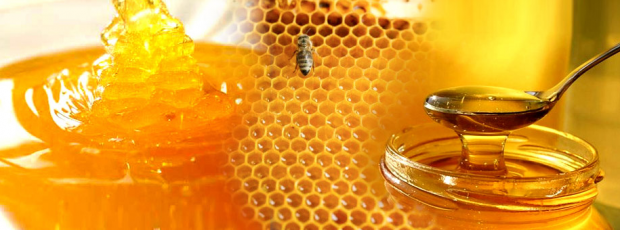 měl by být med dáván dětem?