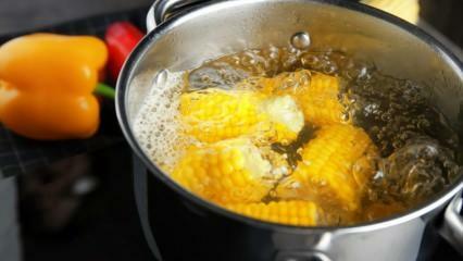 Jak udělat co nejjednodušší vařenou kukuřici? Metody třídění vařené kukuřice
