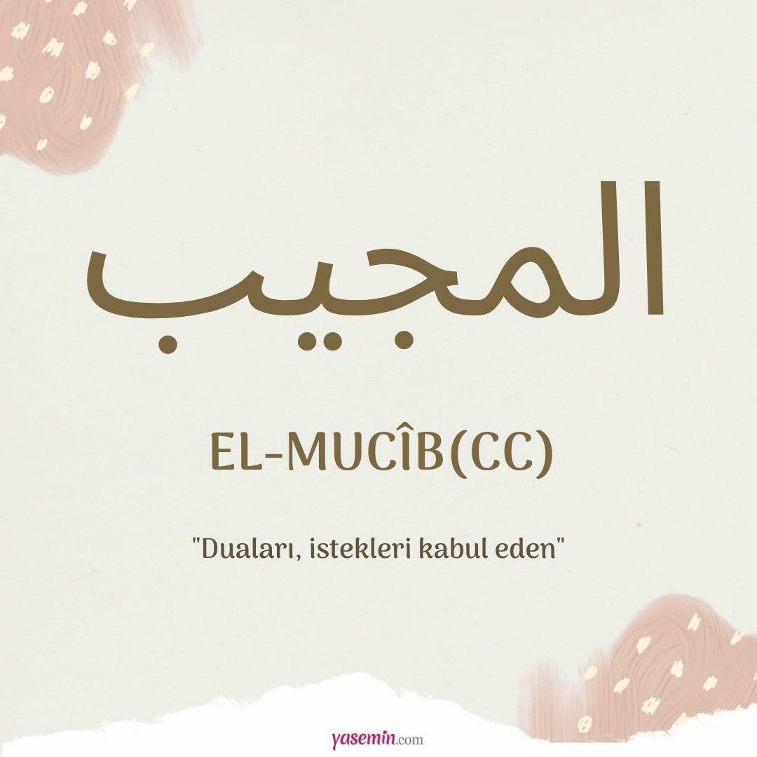 Co znamená al-Mujib (cc)?