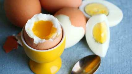 Jaké jsou účinky konzumace 2 vajec v sahuru každý den na tělo?