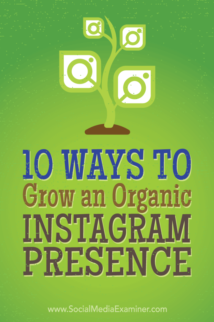 Tipy na 10 taktik, které nejlepší marketingoví pracovníci využili k organickému získání více sledujících na Instagramu.