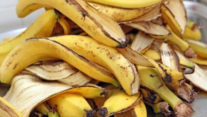 Jaké jsou výhody banánů? Kolik banánů je tam? Neznámá použití banánové slupky! 