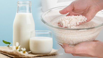 Jak připravit rýžové mléko na spalování tuků? Metoda hubnutí s rýžovým mlékem