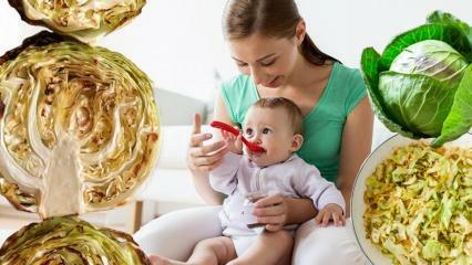 Jedí miminka zelí? V jakém měsíci by měly děti dostávat zelí? Výhody zelí pro děti