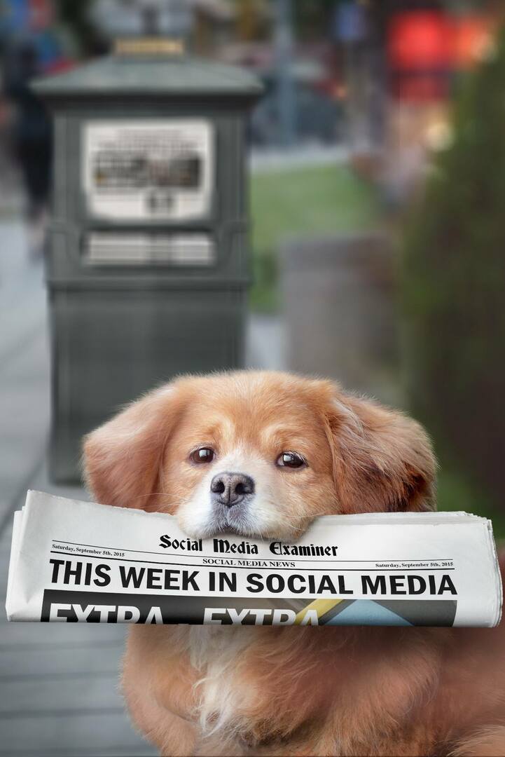 Meerkat představuje živé hashtagy: Tento týden v sociálních médiích: zkoušející sociálních médií