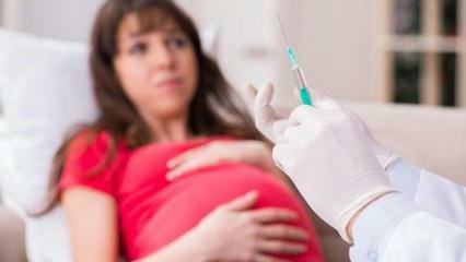 Znatelné varování od odborníků! Těhotné ženy počkají na vakcínu proti koronaviru