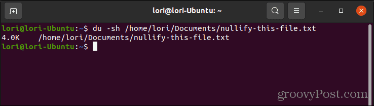 Použití příkazu du ke kontrole velikosti souboru v Linuxu