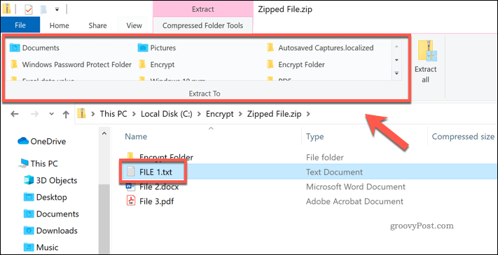 Extrahování jednotlivého souboru ze souboru Zip v Průzkumníku souborů Windows