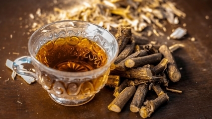 Jaké jsou výhody lékořice? Jak vyrobit kořenový čaj lékořice? Na co je lékořice?