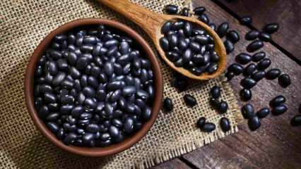 Jaké jsou výhody černé fazole? Černé fazole podporují růst svalů! 