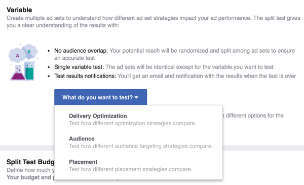 Vyberte proměnnou, kterou chcete otestovat pomocí reklamy na Facebooku.