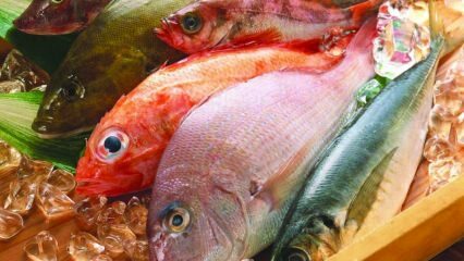 Jaké jsou výhody ryb? Jak konzumovat nejzdravější ryby?