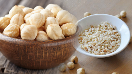 Jaké jsou výhody lískových ořechů? K čemu je skořápka a olej z lískových ořechů dobrý? Pokud jíte syrové lískové ořechy ...