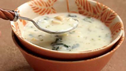 Co je polévka dovga a jak vařit polévku dovga? Recept na polévku Dovga doma
