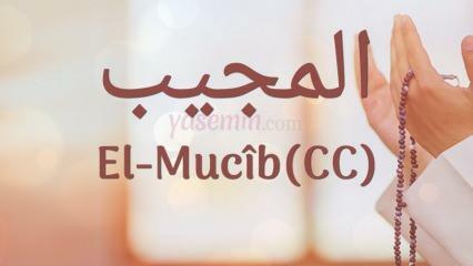 Co znamená al-Mujib (c.c)? Jaké jsou přednosti jména Al-Mujib? Esmaul Husna Al-Mujib...