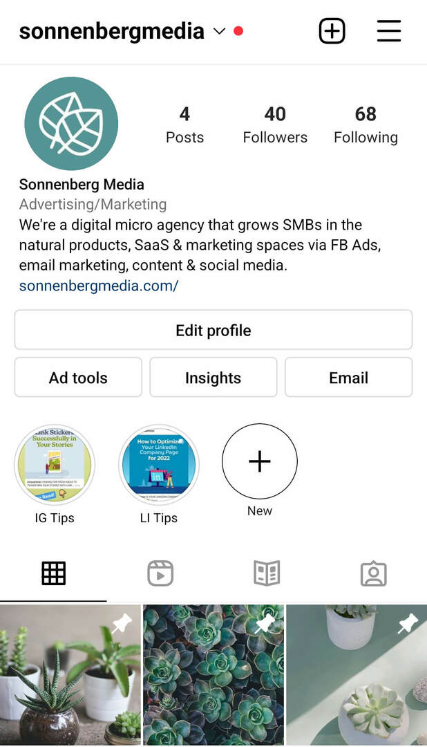 instagram-post-reels-features-sonnenbergmedia-example-1