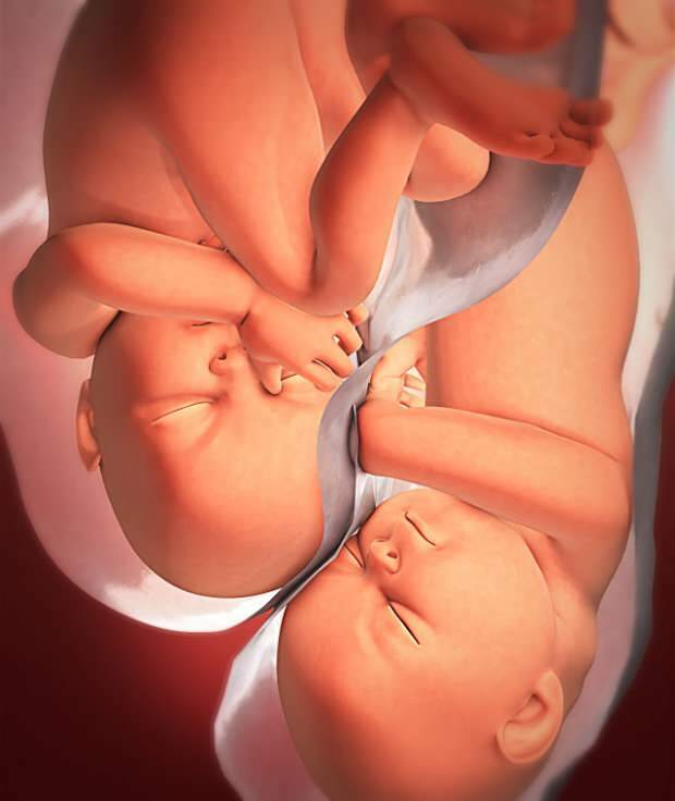 Jaké jsou příznaky těhotenství dvojčat?