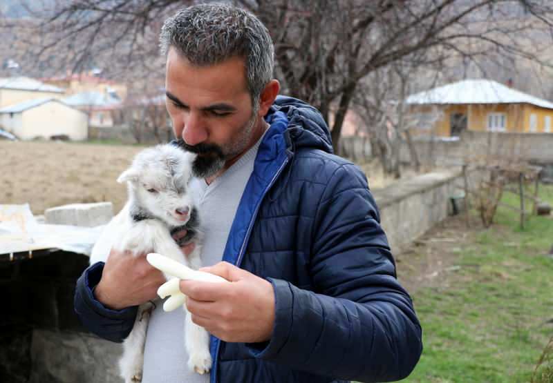Murat Aydemir zachránil život kozímu mládě