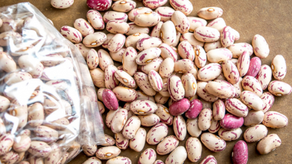 Jaké jsou výhody fazolí? Kterým chorobám brání fazole? Jsou fazole škodlivé?
