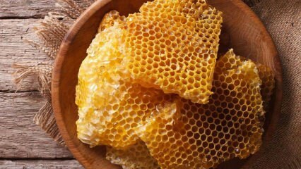 Jaké jsou výhody medu? Co je šílená otrava medem? Kolik druhů medu je? 