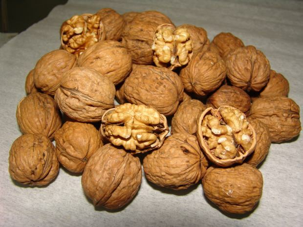 výhody vlašských ořechů pro kosti