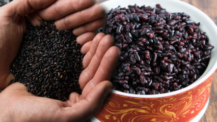 Jaké jsou výhody černé rýže? Jak se jmenuje černá rýže? Jak se konzumuje černá rýže?