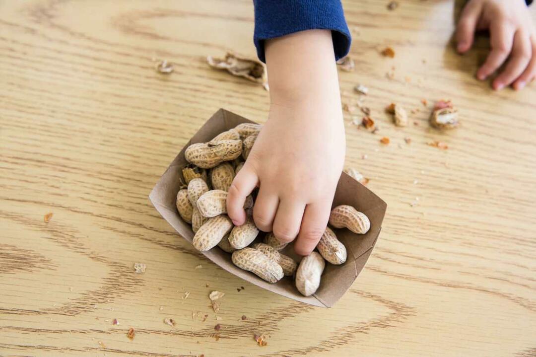 Konzumace ořechů u dětí