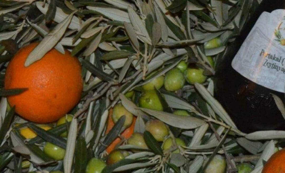 Podnikatelky z Balıkesiru vyráběly pomerančový olivový olej!