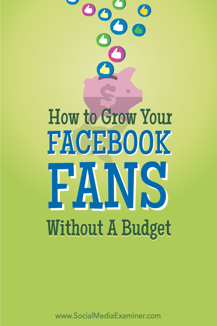 Jak rozšířit své fanoušky na Facebooku bez rozpočtu: zkoušející sociálních médií