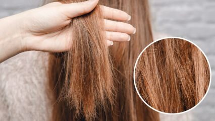 Co se dělá s hořícími vlasy ze středu? Jak by měly být ošetřené vlasy udržovány?