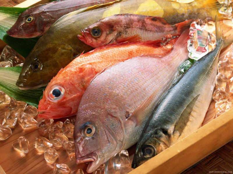 Tipy pro výběr čerstvých ryb od poroty Masterchef Mehmet Chef
