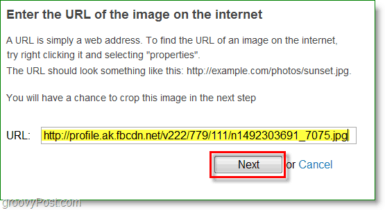 Snímek obrazovky Gravatar - zadejte adresu URL obrázku