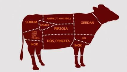 Jaké jsou části hovězího masa? Které maso se krájí z které oblasti?